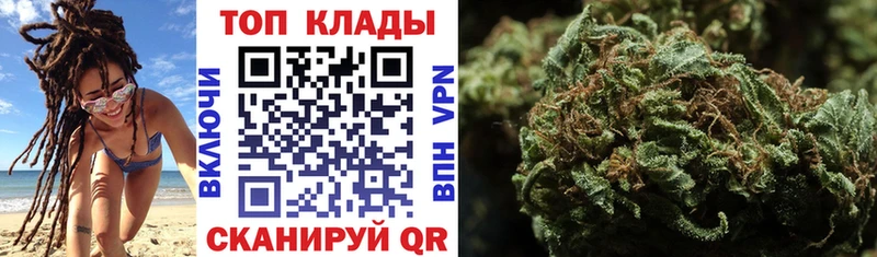 Купить наркотики сайты Черноголовка Псилоцибиновые грибы  Меф мяу мяу  МЕТАДОН  ГАШ 
