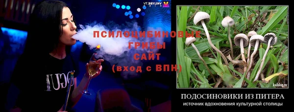 амф Богородицк