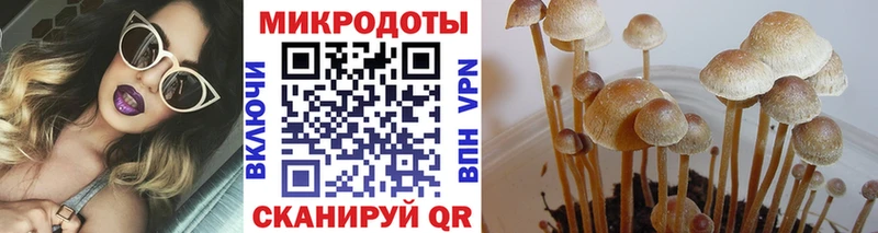 Галлюциногенные грибы Magic Shrooms  Черноголовка 